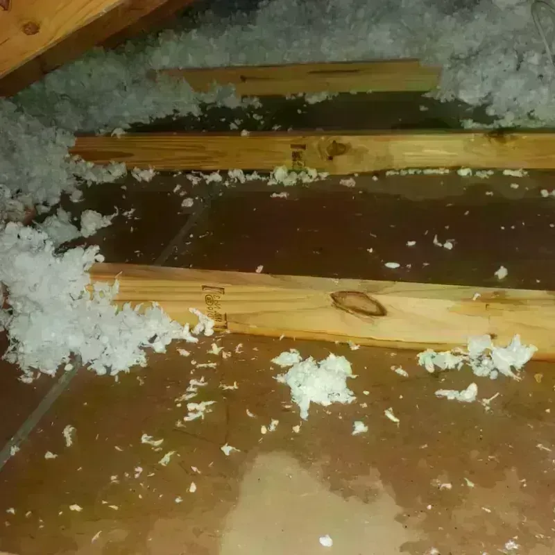 Attic Water Damage in Palmview, TX