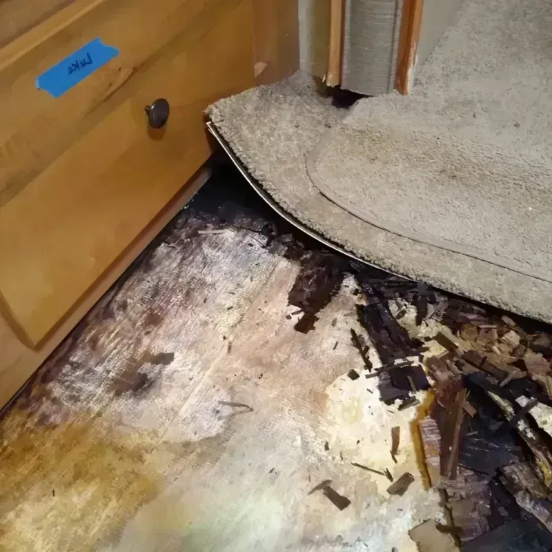 Wood Floor Water Damage in Palmview, TX